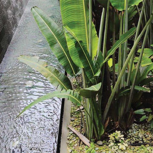 NHÀ MÁT NHỜ…ĐÁ?